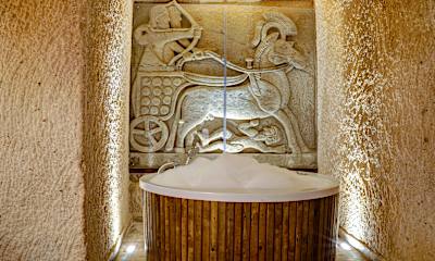Executive Cave Suite